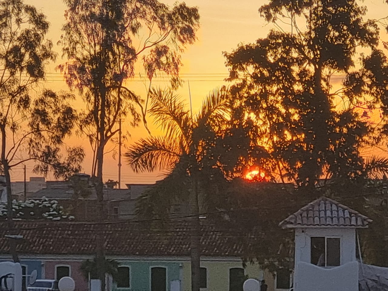 No momento, você está visualizando Corações em alerta